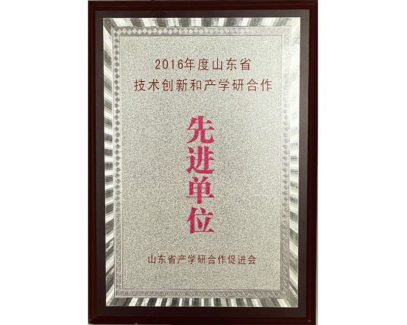 2016先进单位