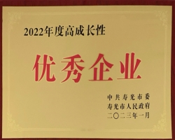 2022年度高成长性优秀企业